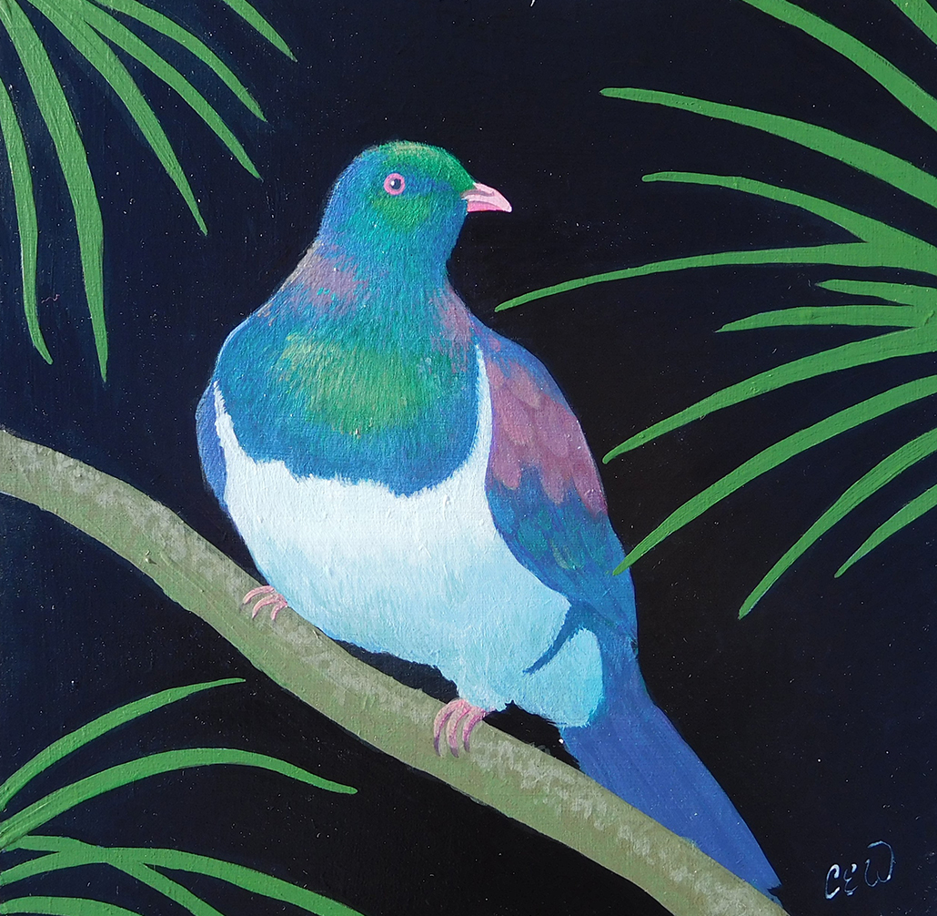 Kereru jewel