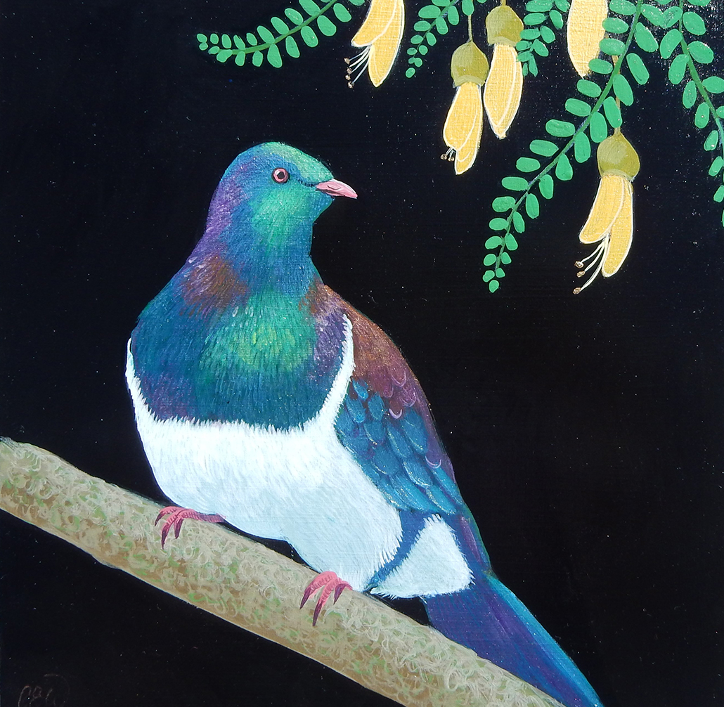 Kereru Spring