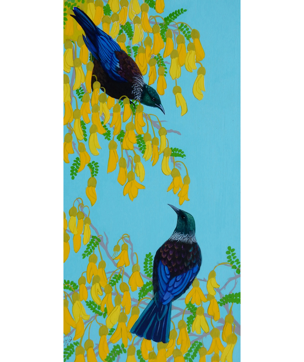 Tuis in Kowhai