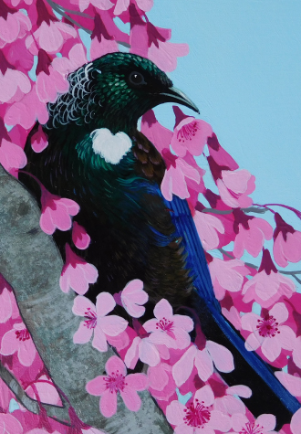 Cherry Pink Tui