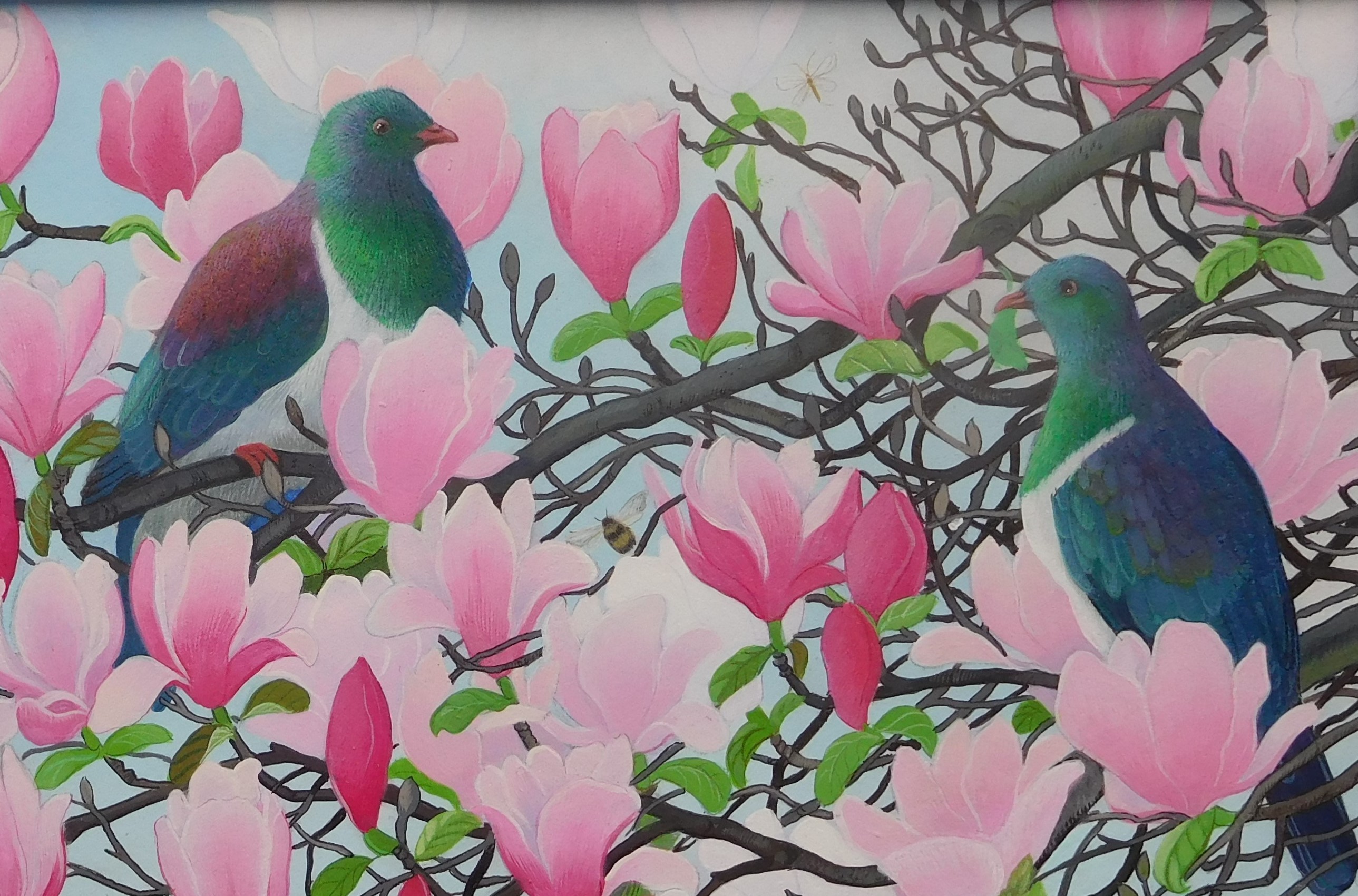 kereru-magnolia